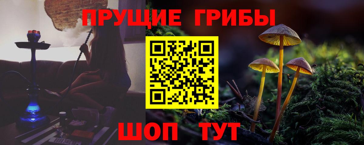Галлюциногенные грибы Psilocybine cubensis  Псилоцибиновые грибы Magic Shrooms  Электросталь  Вход с VPN 